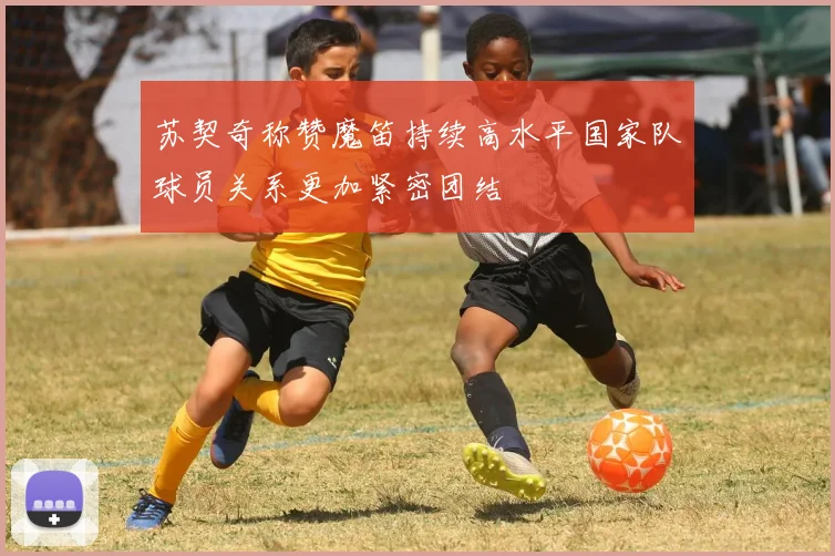 苏契奇称赞魔笛持续高水平国家队球员关系更加紧密团结