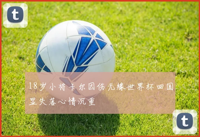 18岁小将卡尔因伤无缘世界杯回国显失落心情沉重