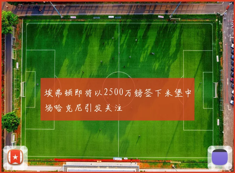 埃弗顿即将以2500万镑签下米堡中场哈克尼引发关注